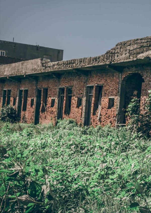 PHOTO-SET-Whoseman-1-吳敵警長來囉~~~我的靴子裡有蛇